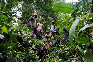 PhD student Nestor Lwambu with a team cutting a transect line through the forest as part of a FORETS project initiative at the Yangambi research station.