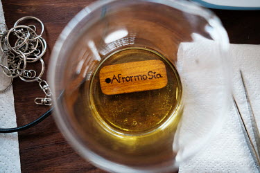 A keychain made from a research sample of afrormosia soaking in oil at a wood biology laboratory.