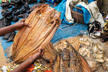 Helena Yenga buying dried fish that she will sell on at the local Sunday market, where she also buys and sells bushmeat.