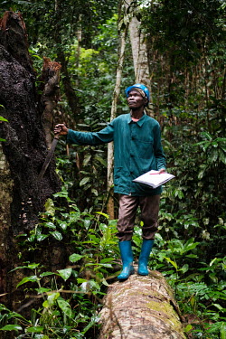 Agroforestry technician Augustin Iyokwa works on research initatives supported by the FORETS project at the Yangambi research station.