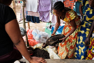 Helena Yenga bargaining for a smoked monkey that she will sell on at the local Sunday market, where she buys and sells fish and bushmeat.