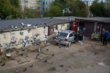 Men are feeding pigeons at the garages.