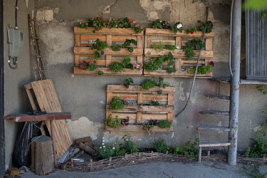 A small garden improvised at the garages.