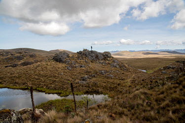 Gustavo Quezada, an anti-mining activist, on the Kimsacocha moor. He started in the water defence in the late 1990s when the mining industry started exploration in this territory. "Here is the gold, t...