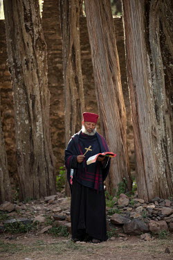 A priest amongst ancient trees in Qusquam