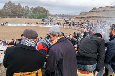 Spectators watch the 35th annual Selcuk Camel Wrestling Festival competition near Izmir, Turkey. The event usually draws large crowds of up to 20 thousand, although this year the numbers were lower du...
