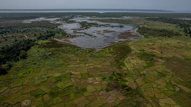 An aerial view of the crops around the village of Kerewan where rice farmers are losing their main source of income as soil salinity increases each year to the point that rice can no longer grow. The...