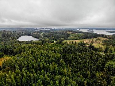 An aerial view of pine forest and lakes.