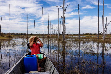 Farmer Ruivaldo Nery sips coconut water during a break while on a canoe trip. He has stopped amidst dead tree stumps in a permanently flooded area in the Pantanal of Paiaguas, where his farm is locate...
