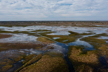A permanently flooded area, close to the Morcego Community, in the Pantanal region of the Paiaguas. The water inundation is due to the siltation of the River Taquari, which has abandoned its original...