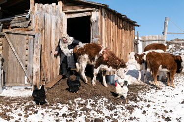 Lyubov Nikolaevna Morekhodova (80) carries a bucket of water up to her farm after collecting it from Lake Baikal. She runs a small farm with cows and chickens. She has to carry water in buckets from t...