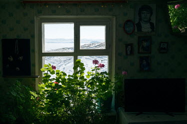 Plants growing on a windowsill in the home of Lyubov Nikolaevna Morekhodova who lives on a farm on the shore of Lake Baikal.