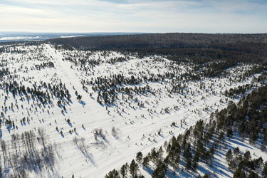 An aerial view of forest cleared as a result of logging of the Irkutsk taiga.
