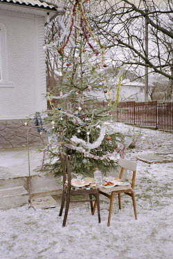 A Christmas tree and a picnic outside a house.