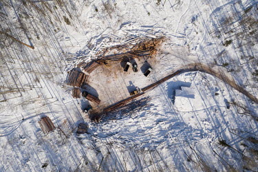 A felling site in the taiga of Irkutsk oblast.