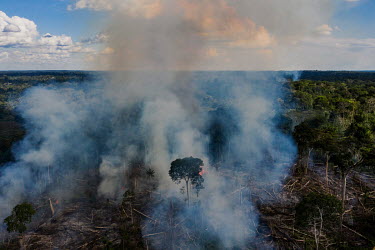 Fire burns a deforested area inside in the Chico Mendes Extractive Reserve, which is the most threatened and deforested protected area in 2019, according to IMAZON data. Much of the forest in the rese...