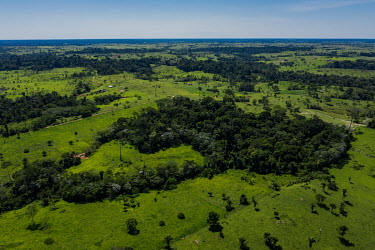 A deforested area in the Maloca Seringal within the Chico Mendes Extractive Reserve.