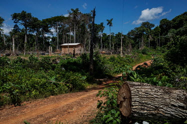 A newly deforested area within the Chico Mendes Extractive Reserve.