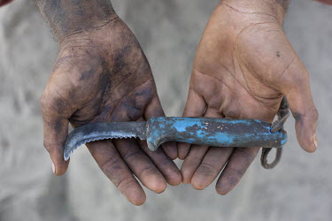 Daniel Montes (30), holds a knife used to cut grapes from the vine. These are grapes that will be used to make raisins, the harvest is called 'la tabla', referring to the piece of paper where they pla...