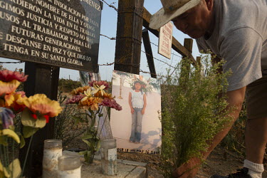 Doroteo Jimenez with a photograph of his niece, Maria Isabel, who died of heat stroke while working in the vineyards in 2008. He has put up a cross in the place where she died, and on this day he pick...