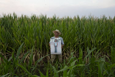 Doroteo Jimenez holds a photograph of his niece, Maria Isabel, who died of heat stroke while working in nearby vineyards in 2008. He has put up a cross in the place where she died, and on this day he...