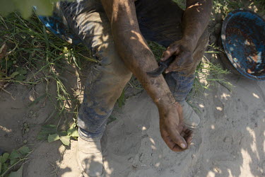 Juan Diaz, a supervisor, scrapes dirt from his arm using the knife he uses to harvest grapes in a vineyard.  According the law, when the temperature reaches 80Â�F (26.6Â�c) there should be shade whe...