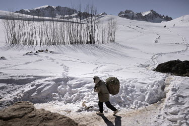 A man carries a basket filled with fodder along a track through the snow.