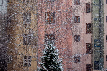Snow in March covers trees in a courtyard in Zizkov.