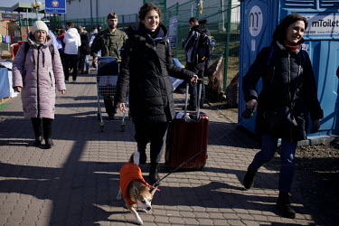 Ukrainian refugees, including a woman with a dog, enter Poland after passing the immigration post and crossing into Poland. animals