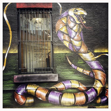 A snake street art on a wall in the Northern Quarter.