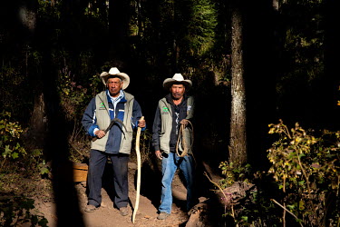 A patrol carried out by people from the local community, they monitor the forest and illegal logging in the Sierra Chincua monarch butterfly reserve.