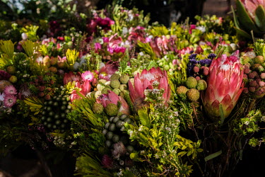 Protea and other fynbos flowers for sale at a market in Cape Town. Fynbos is a unique type of vegetation found in the Eastern and Western Cape provinces of South Africa, and the vast majority of its p...