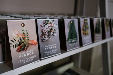 Fynbos teas for sale in Cape Town. Fynbos is a unique type of vegetation found in the Eastern and Western Cape provinces of South Africa, and the vast majority of its plant species are found nowhere e...