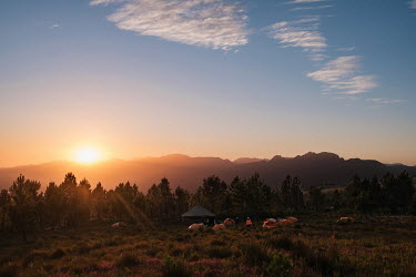 Sunset over a high-angle tree clearing team's campsite in a remote montane catchment area that feeds the Theewaterskloof dam. The teams are deployed on two-week rotations and operate at height in dang...