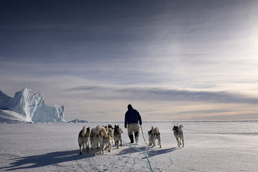 A man training his dogs on the sea ice for a forthcoming dog sledding competition, Greenland's national sport. On this day, even in the frozen winter, they cannot go far out onto the frozen sea becaus...
