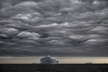 Icebergs, broken off from the Jakobshavn Glacier (Sermeq Kujalleq), float in Disko Bay during a summer storm. Annually, the glacier drains about 6.5% of the Greenland ice sheet and is responsible for...