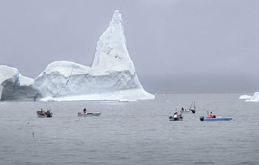 Fishermen catching halibut manouvre their boats among the icebergs, broken off from the Jakobshavn Glacier (Sermeq Kujalleq), floating in Disko Bay. The glacier travels through the Ilulissat Icefjord...