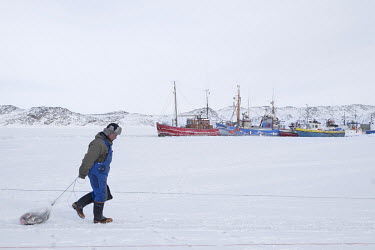 A fisherman returns from a trip onto to the frozen sea ice in Disko Bay dragging a catch of halibut behind him. The trawlers in the background will be trapped in the winter ice until the spring thaw.