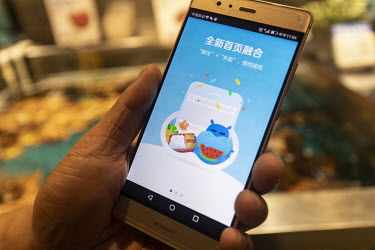 A smartphone displaying the Alibaba Group Holding Ltd's Hema or Fresh Hippo store app.