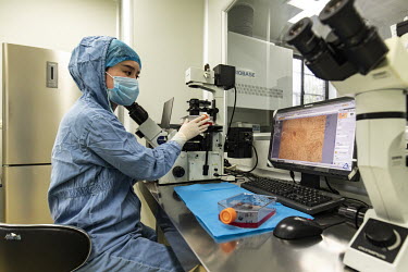 An Anhui Kedgene Biotechnology employee, at the company's lab in Hefei, uses a microscope to examine a blood sample from a cancer patient taking part in genetic treatment trials. The samples will be u...