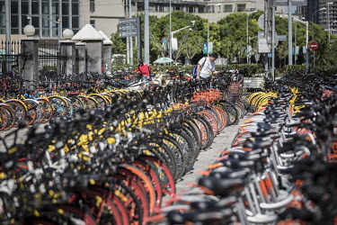 Row upon row of shared bicycles lined up outside a metro station. While cheap, convenient, and theoretically environmentally friendly, the craze and commercialisation of shared bikes initially created...