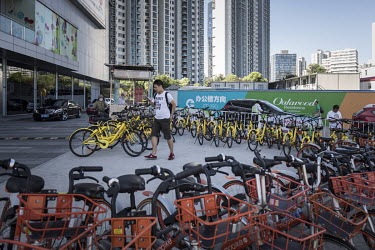 A pedestrian walks past lines of shared bicycles from various providers. While cheap, convenient, and theoretically environmentally friendly, the craze and commercialisation of shared bikes initially...