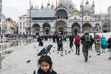 A girl with a pigeon on her head, in front of the Basilico San Marco on Piazza San Marco. The famous square is at the lowest point in Venice and is consequently flooded during Acqua Alta or 'high wate...