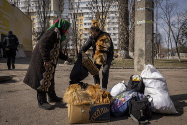 Two women, who had just been evacuated from the frontline town of Irpin, try to make their pet dogs comfortable having reached safety on the outskirts of Kyiv. As heavy fighting continued in nearby Ir...