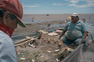 After returning to the dock in Paredon Colorado, Jose Antonio Salido (38, right) and his father, Jose Maria Salido (64, left), collect fish they've caught in Tobari Bay from their nets. According to S...