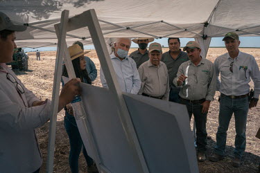 Members of the Union of Rural Production Societies of Southern Sonora (USPRUSS), gather in a crop field to measure the results of a new wheat seed. The local farmer family's production capacity is not...