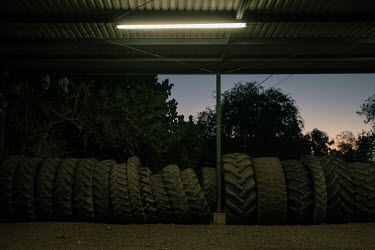 Tyres for tractors and agricultural machines stored at a second hand shop. The local farmer family's production capacity is not comparable to the multinational companies of the Yaqui Valley, investing...