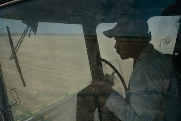 Gerardo Guerrero (47), controls an old combine harvester as he harvests a field of wheat belonging to Jose Maria Osorio Alatorre, chairman of the Production Societies of Southern Sonora (USPRUSS). Aro...