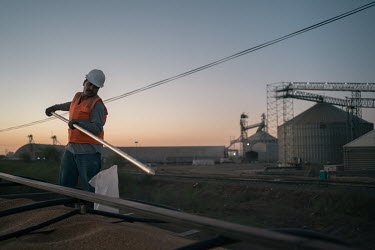 A Ferropuerto de Sonora worker, a company dedicated to services for cargo transportation, stands on a truck as he tests wheat grain for export. The Yaqui Valley is a wheat-producing region in northwes...