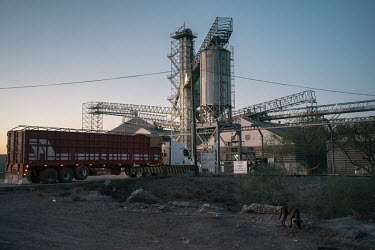 A trailer enters the Productos Agricolas AOASS's installations, a multinational company that exports 48% of the wheat from Sonora. The Yaqui Valley is a wheat-producing region in northwestern Mexico c...